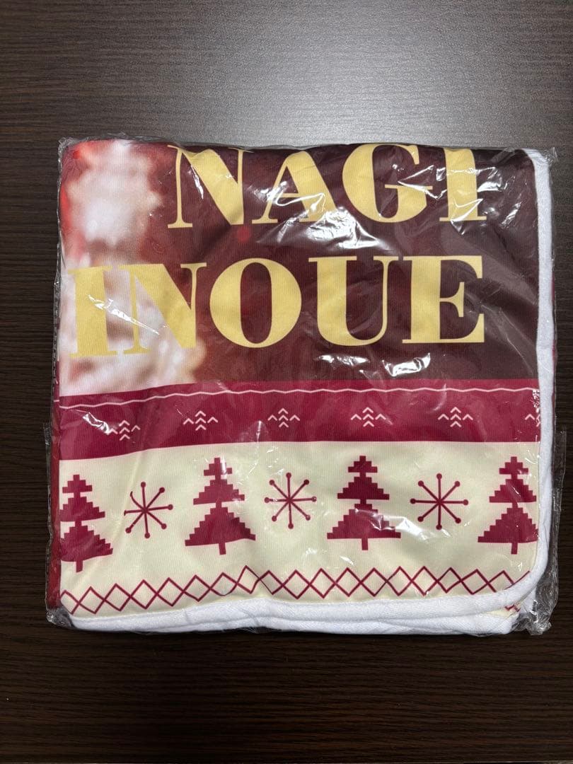 乃木フェス　井上和　直筆サイン入りフード付きクリスマスタオル