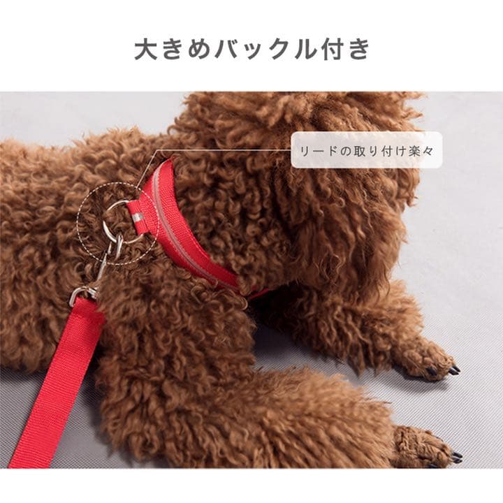 光るペット用首輪 LED 取り外し可能 サイズ豊富 カラー豊富