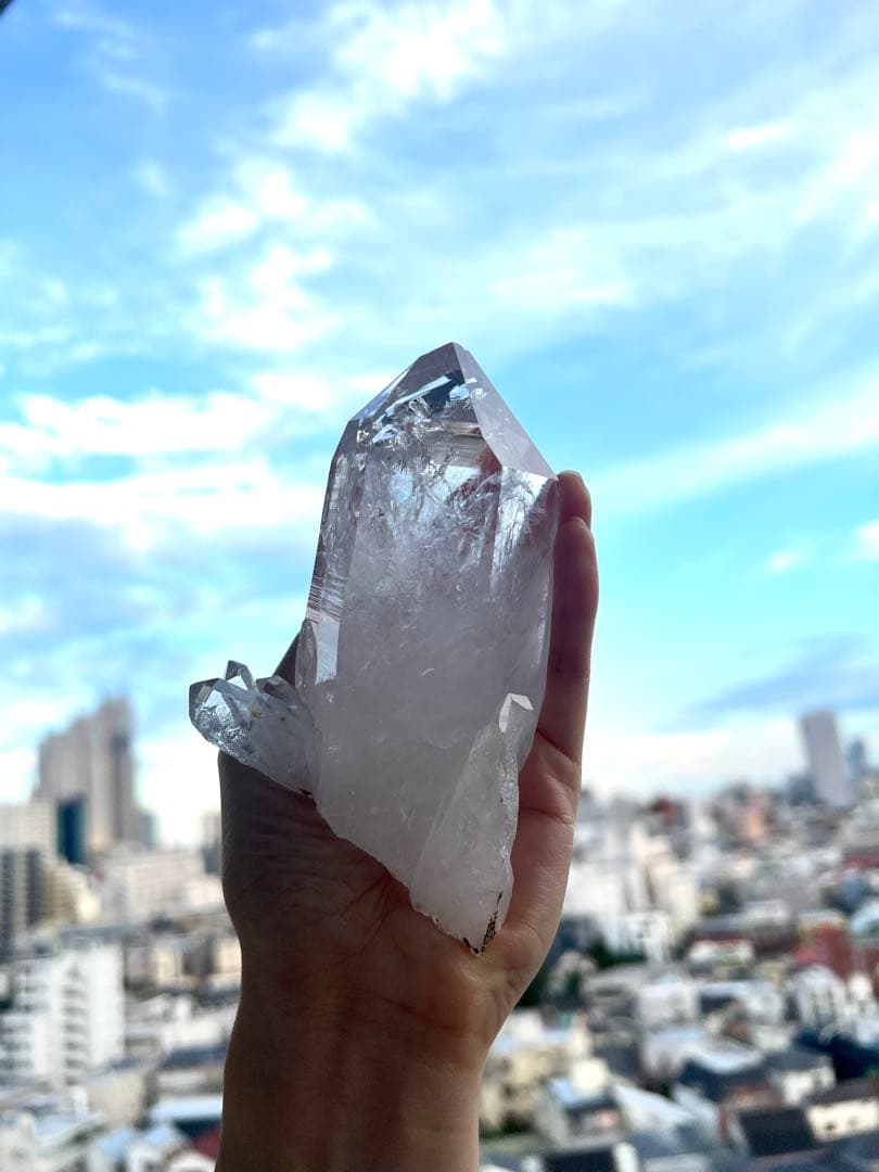 美✨超希少✨AAAAA 特大 コロンビアレムリアン✨my collection✨