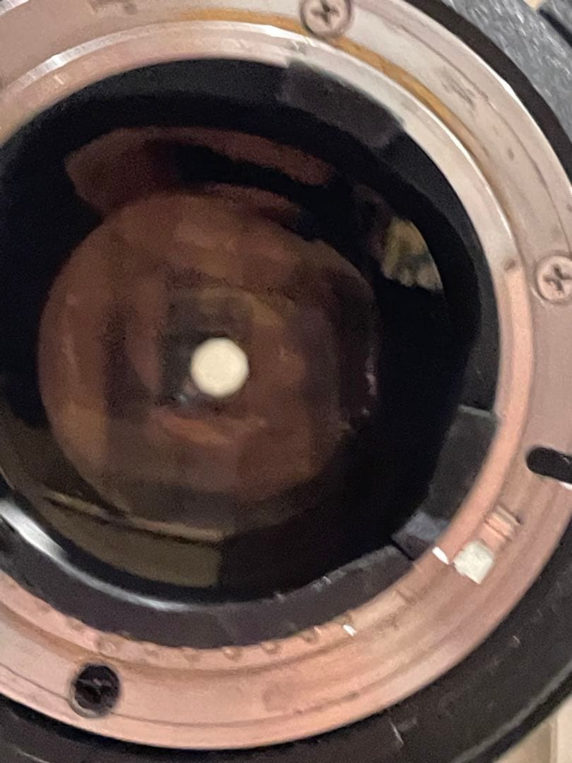 Nikon AF-S NIKKOR 80-200mm f/2.8 D 動作未確認