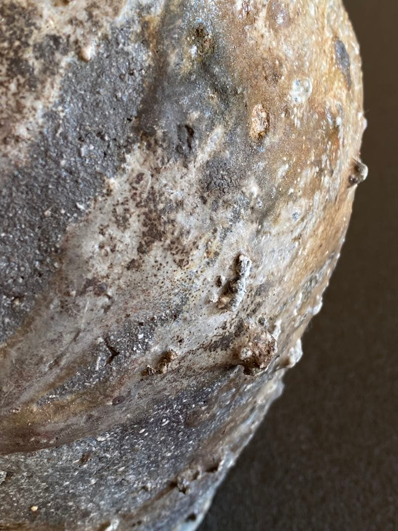 信楽焼　壺　古谷道生　　#2201