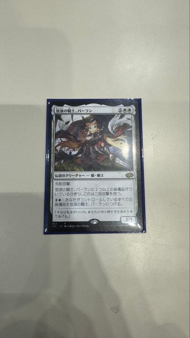 放浪の騎士、バーラン 日本語 J22