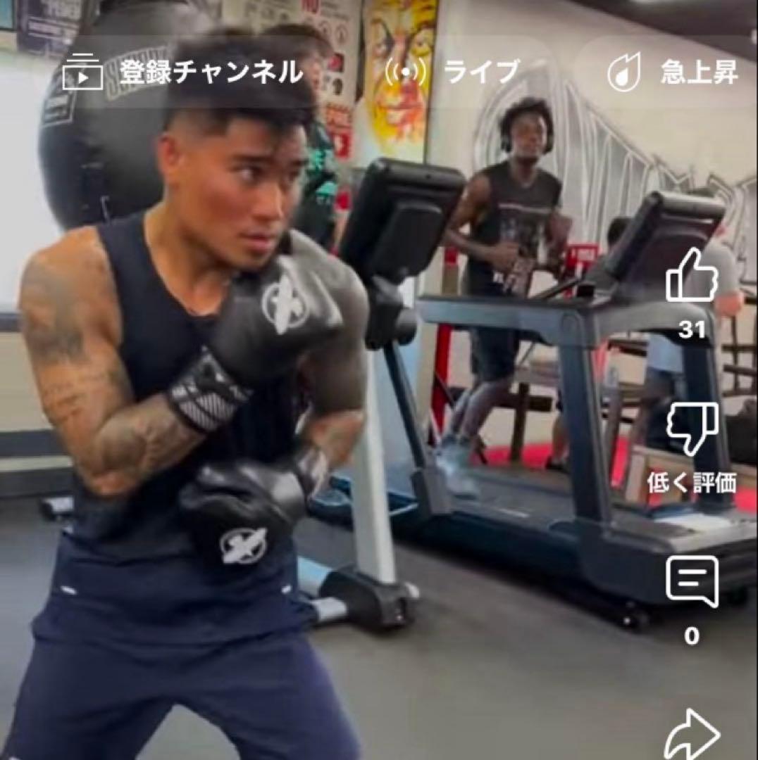 日本未発売HAYABUSA ボクシンググローブ 黒 試合用 8オンス