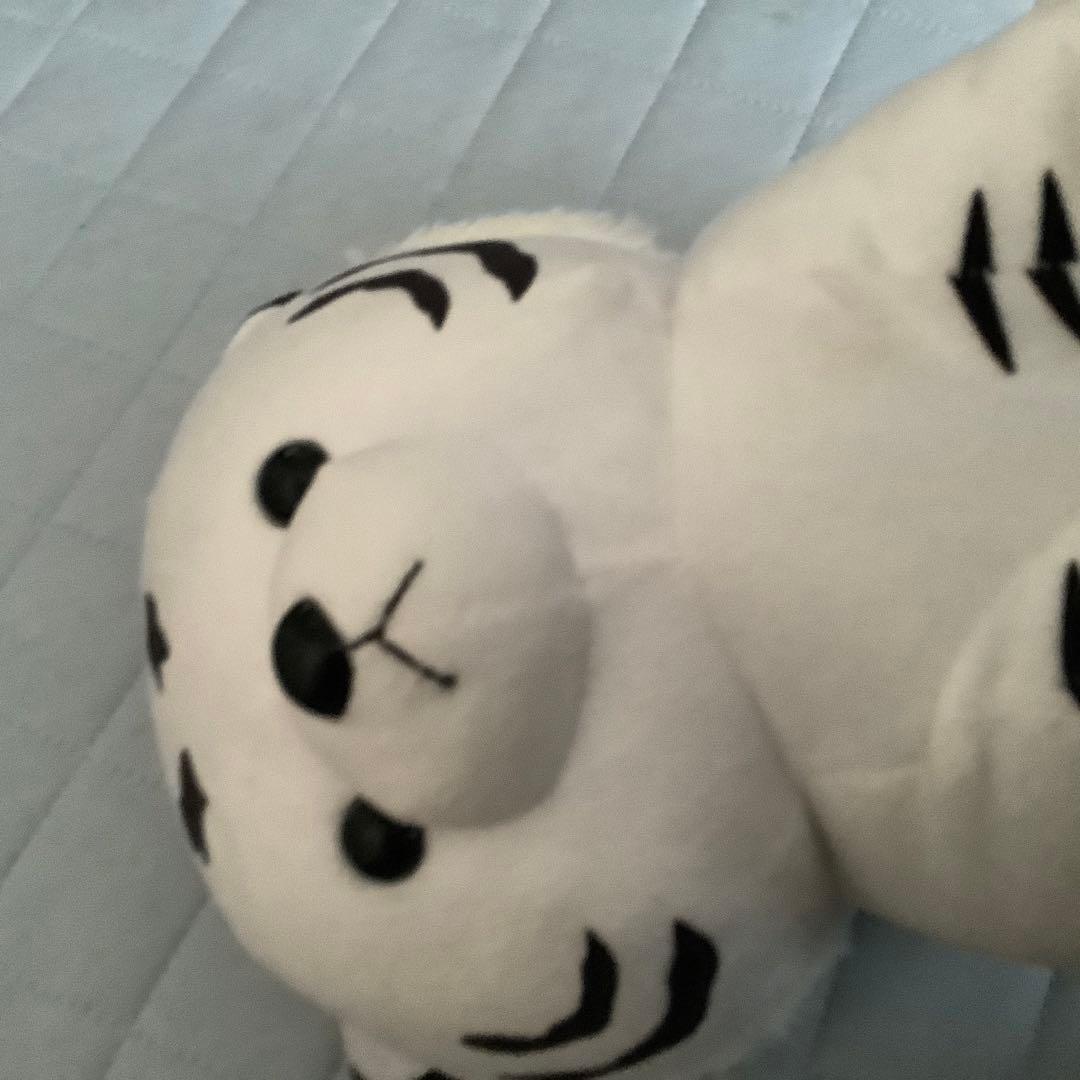 東武動物公園のとら