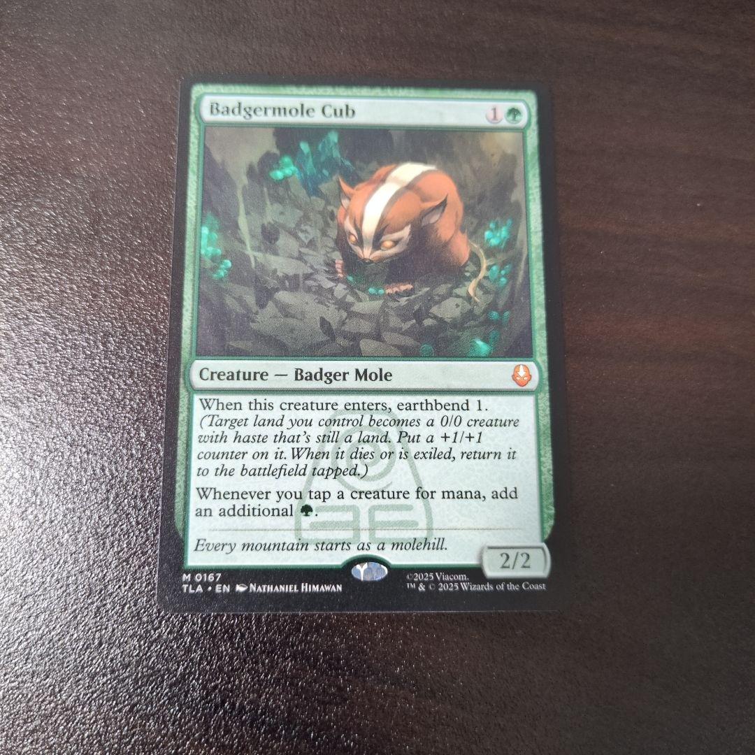 アナグマモグラの仔　Badgermole Cub アバター 伝説の少年アン