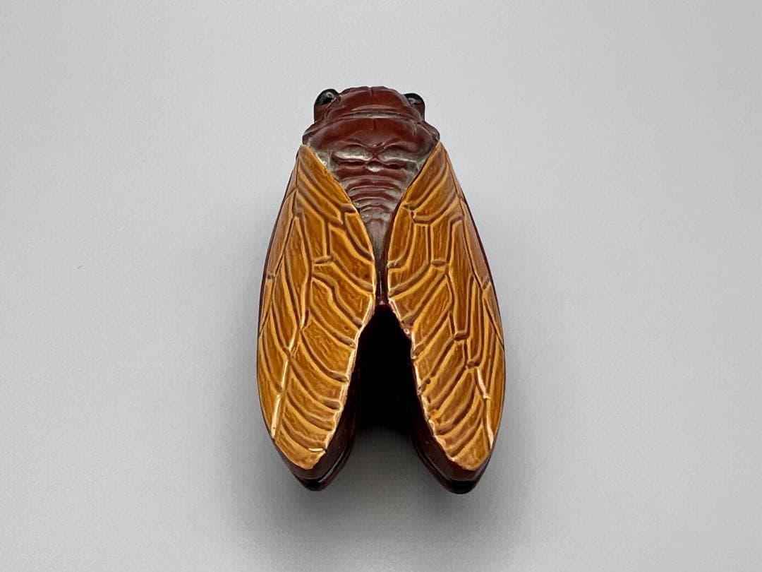 【海】香合　蝉　般若勉作　（号　雲舟）茶器　茶道具　共箱付　新品未使用