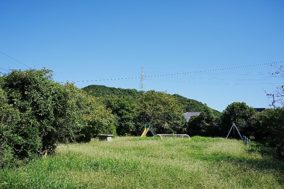 α1検証済｜Tamron 28-200mm F2.8 実写 家族旅行の失敗ゼロ