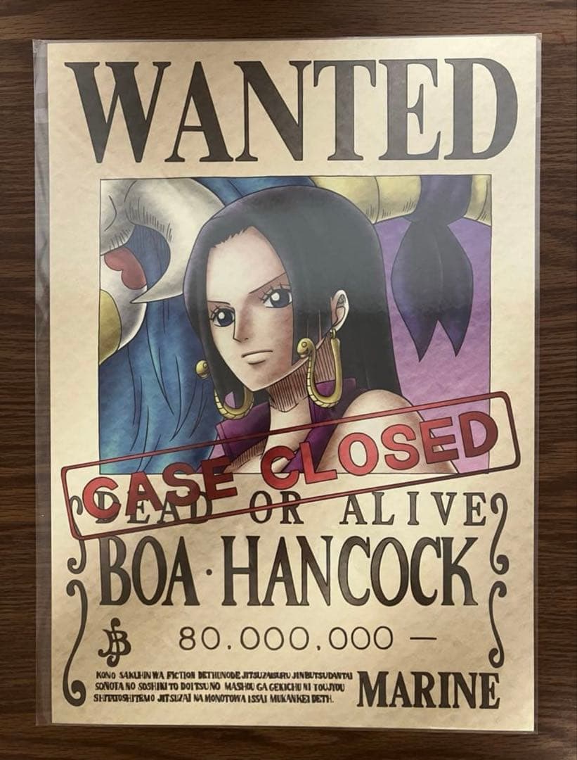 ワンピース　海軍発行公式手配書　14種セット