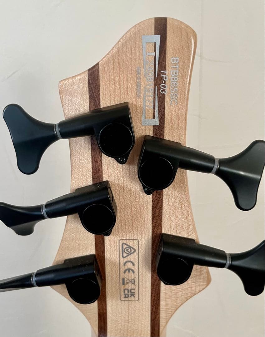 5弦ベースWeathered Black Low Gloss アイバニーズ