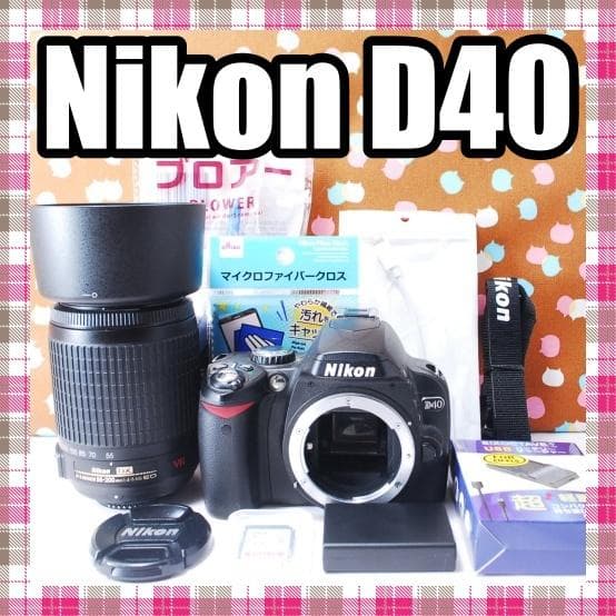 ✨ショット数3295回✨望遠レンズ付き✨Nikon D40 レンズセット