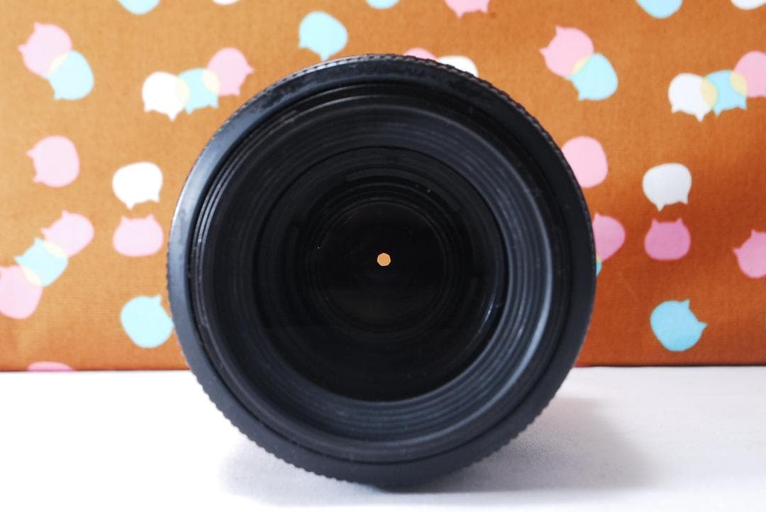 ✨ショット数3295回✨望遠レンズ付き✨Nikon D40 レンズセット