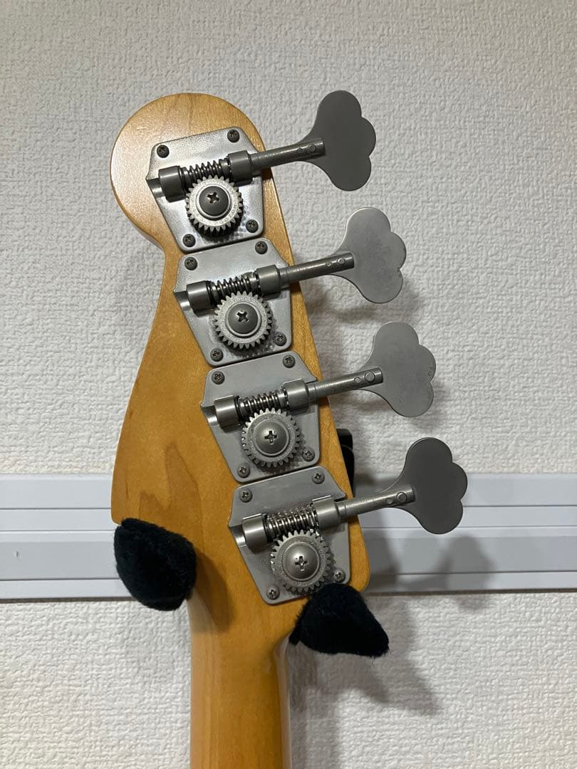 Vanzandt PBV-R2 マダガスカルローズ指板