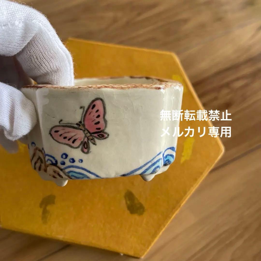 ミニ盆栽鉢　桑津香石　絵鉢　小品盆栽　蝶　波