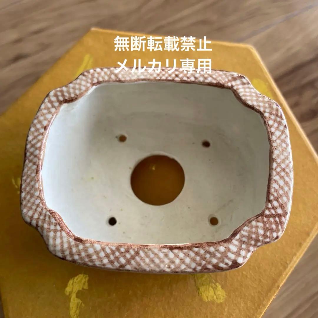 ミニ盆栽鉢　桑津香石　絵鉢　小品盆栽　蝶　波