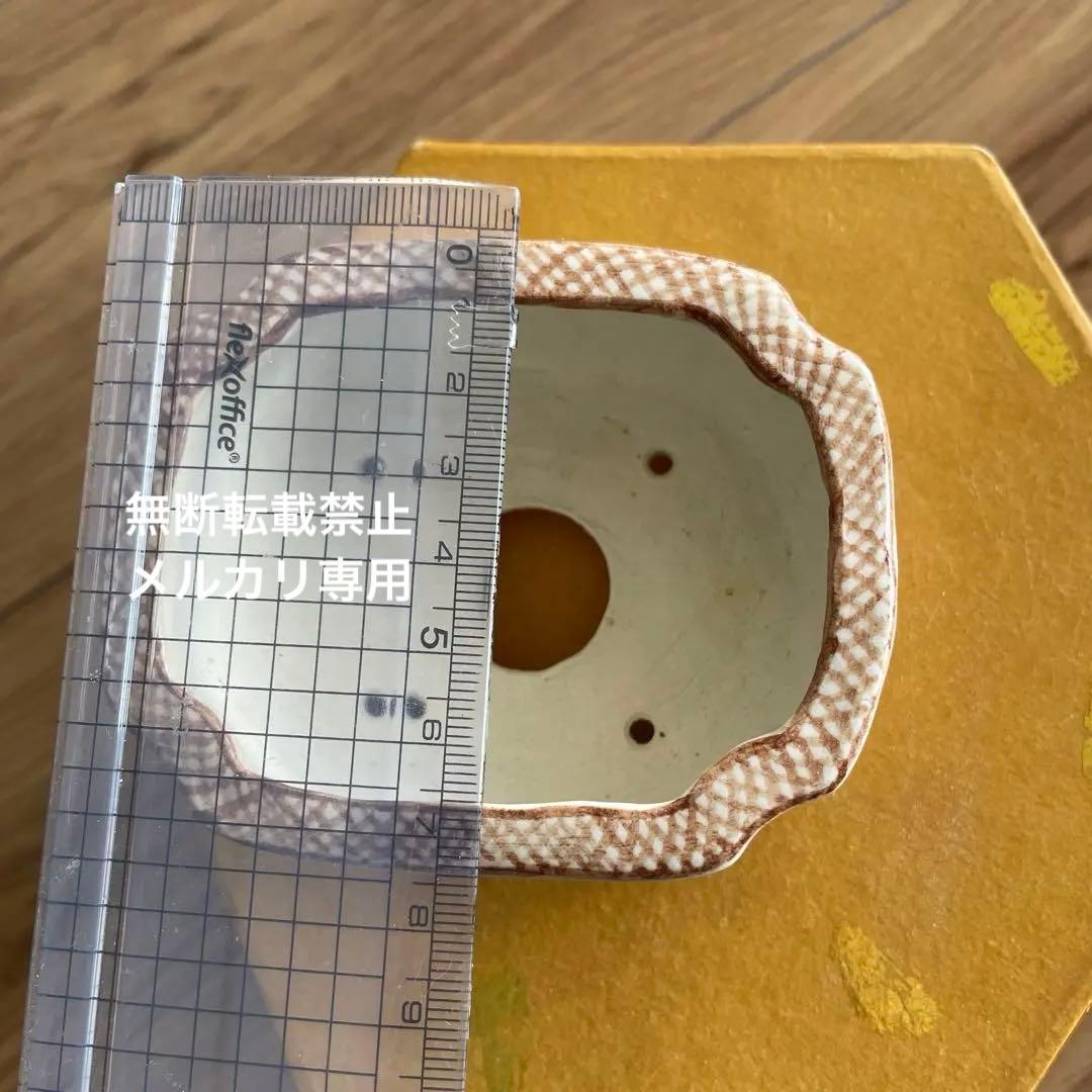 ミニ盆栽鉢　桑津香石　絵鉢　小品盆栽　蝶　波