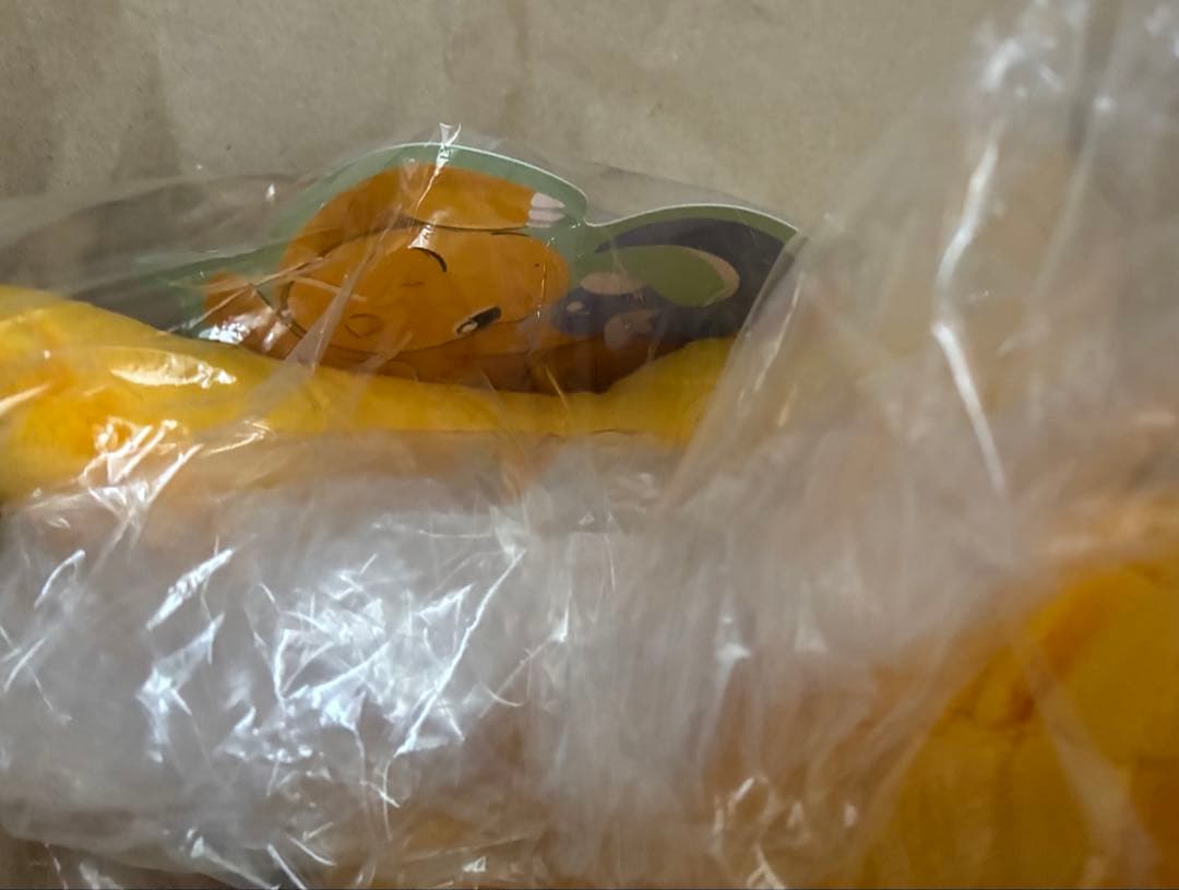 カイリュー だっこぬいぐるみ TAIKI-BANSEI ミニリュウ＆カイリュー