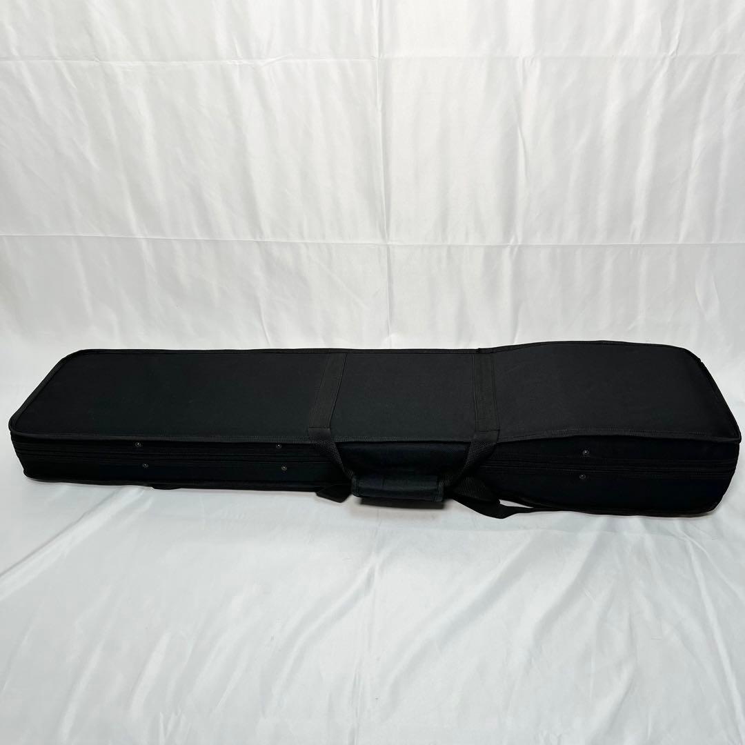 二胡 宋廣寧製 ケース付き　ねじれ糸巻き　楽器　民族楽器