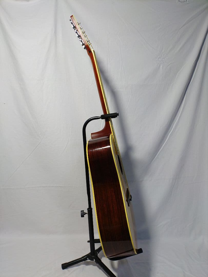 MORRIS 　SPECIAL 　TF - 50