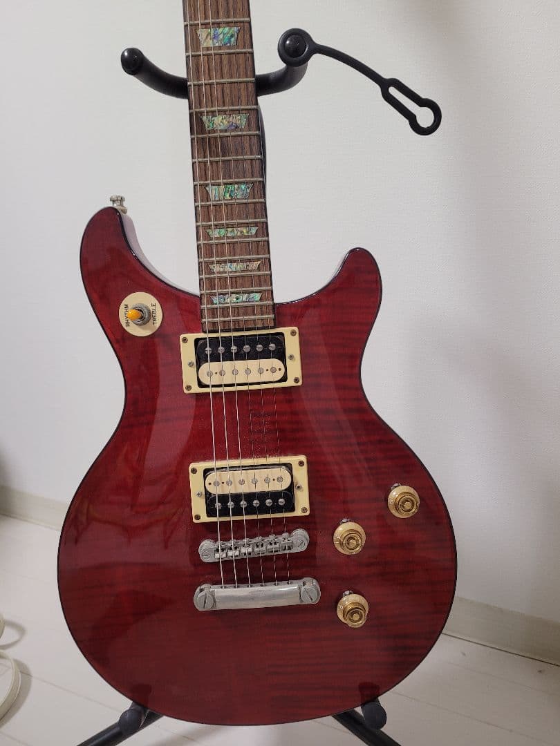 Epiphone エピフォン Tak Matsumoto DC Cherry