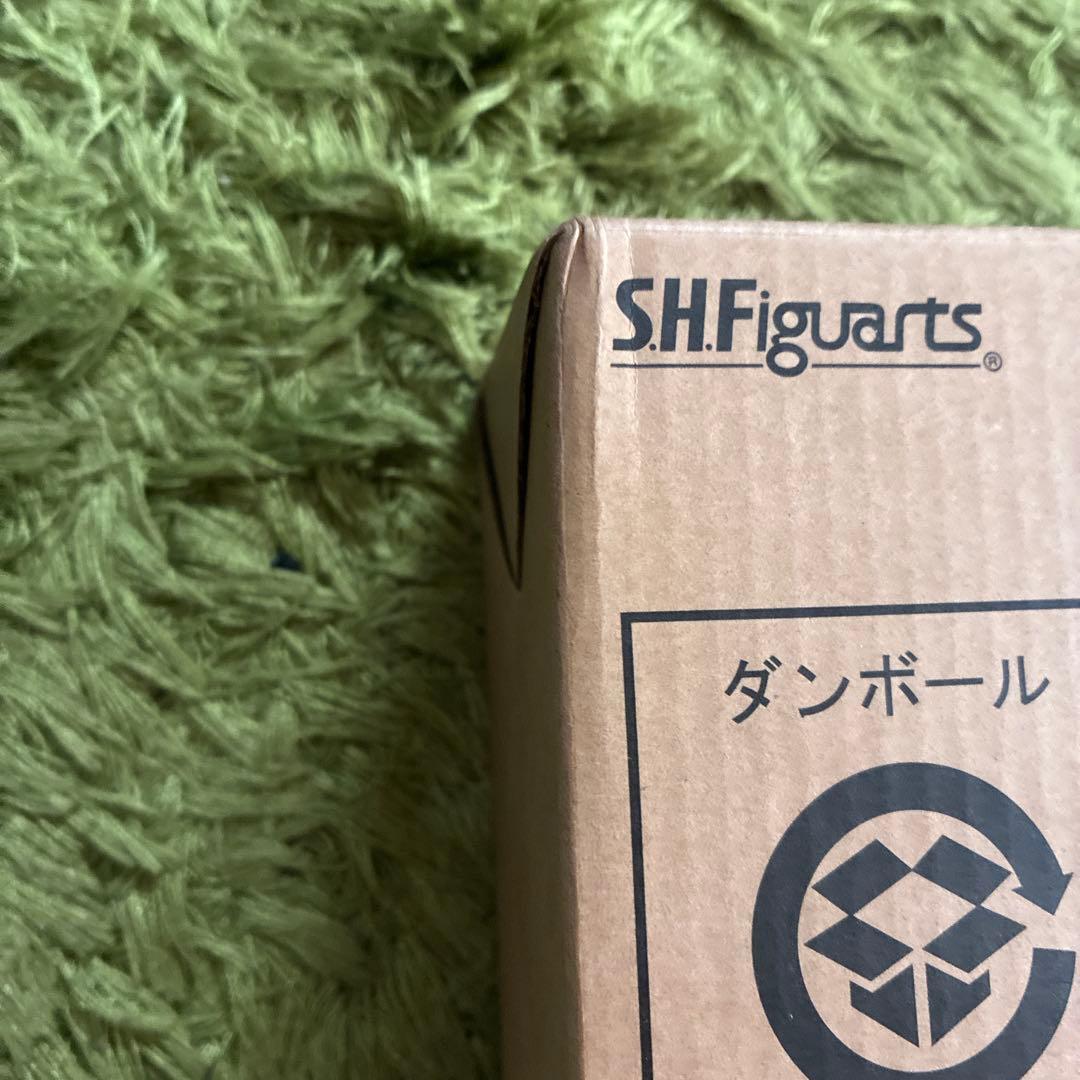 S.H.Figuarts 真骨彫製法 仮面ライダー1号 （桜島Ver.）