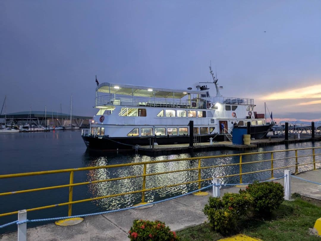 【桜、桜、コスモス！】 JANSON Geishaと DURAN Coff