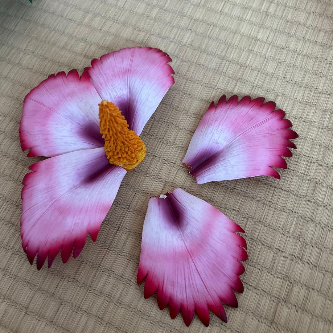 エクスプラス 大怪獣シリーズ ジュランカラー版