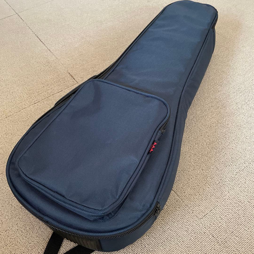 Epiphone MM-30 AS マンドリン ケース付