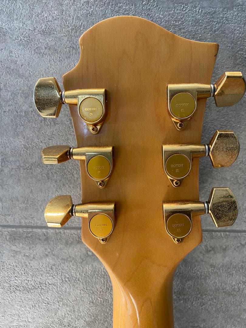 FERNANDES Burny MG-85X モッキンバード　hide