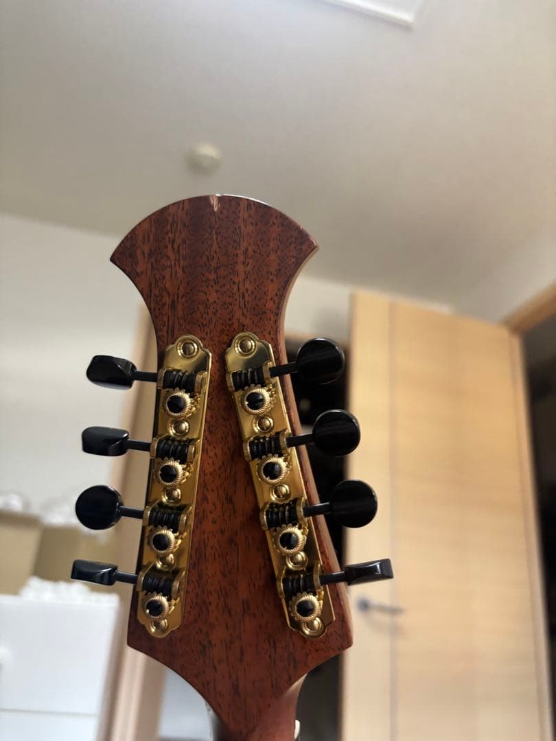 宮野　MC-1 マンドロンチェロ　ケース付き　即購入不可