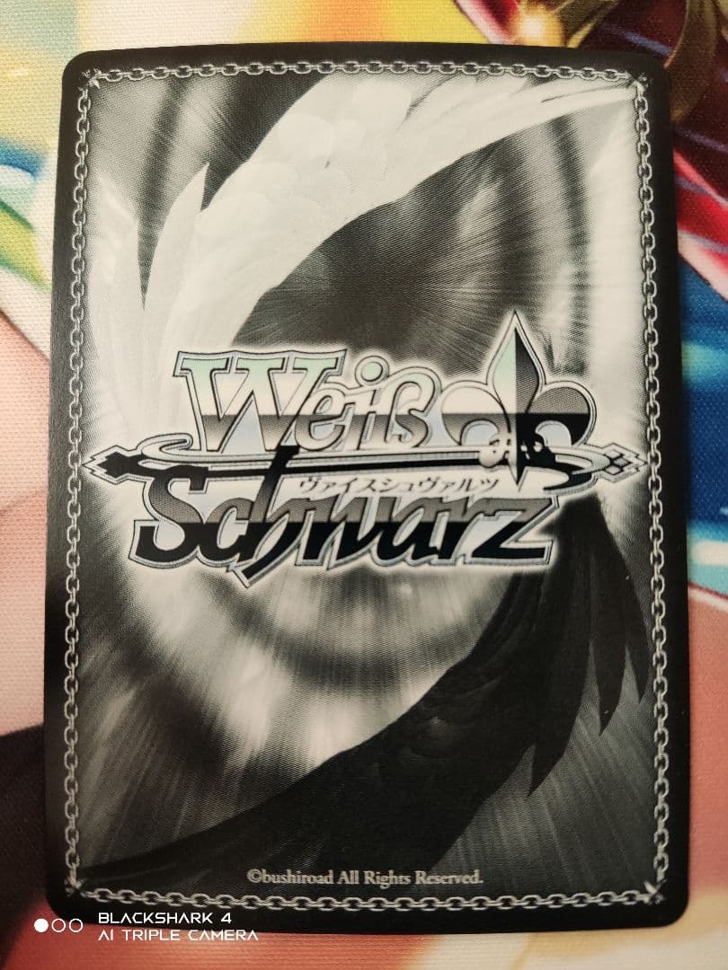 最終値下げ ペーター・シュトラッサー サイン SP ヴァイスシュヴァルツ