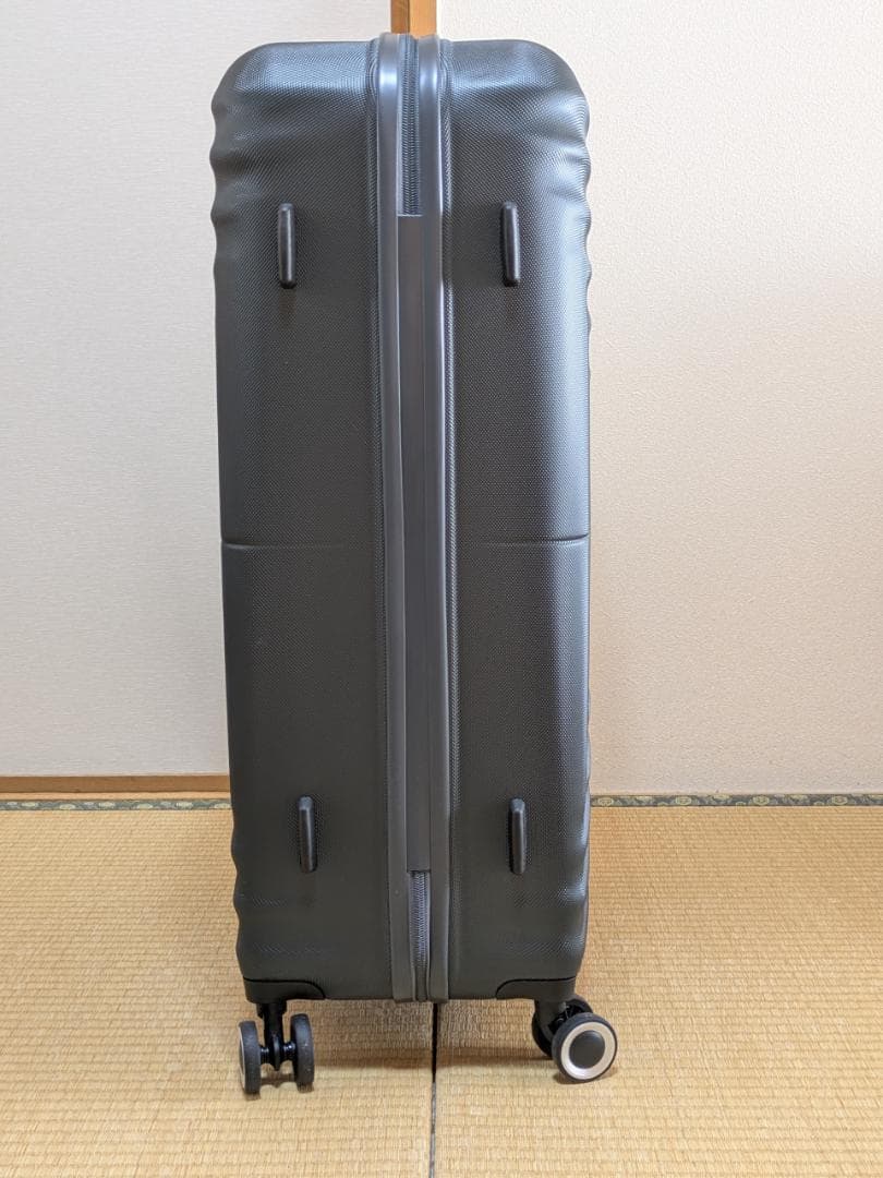 アメリカンツーリスター ツイストウェーブス スピナー77 Lサイズ