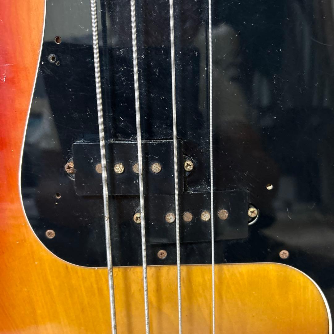 ワ*️様 Camel Journey Bass サンバースト