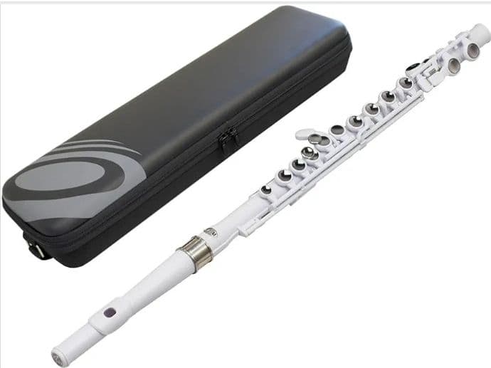 【極美品✨️】NUVO プラスチックフルート Student Flute ケース