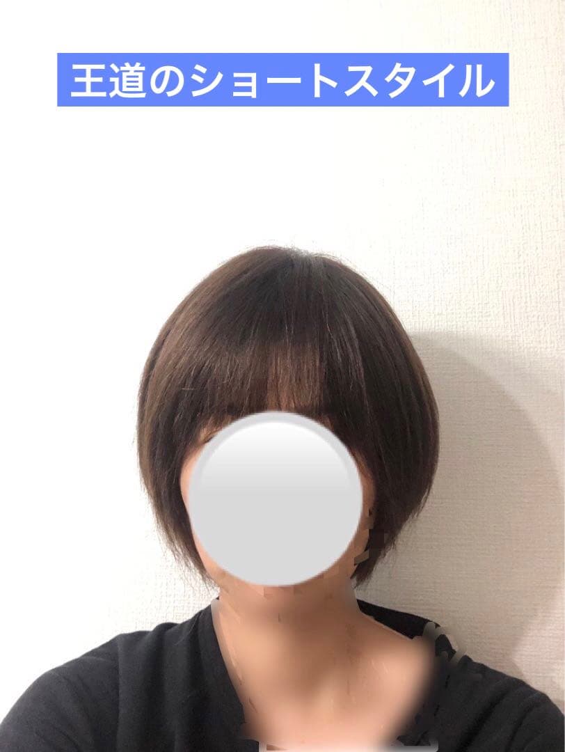 人毛王道ショートウィッグ ブラウン　未使用