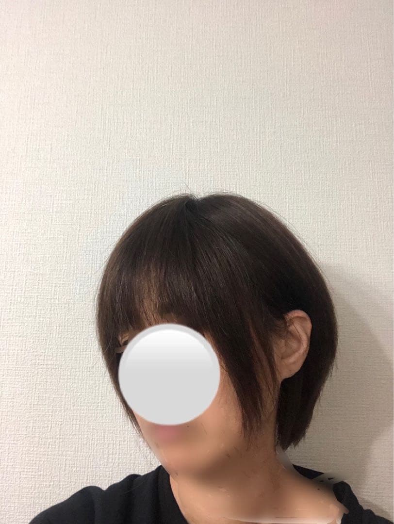 人毛王道ショートウィッグ ブラウン　未使用