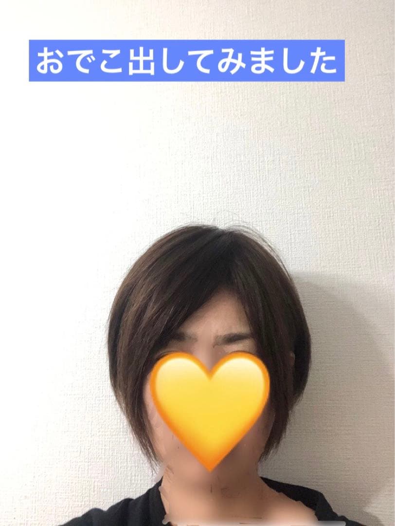 人毛王道ショートウィッグ ブラウン　未使用