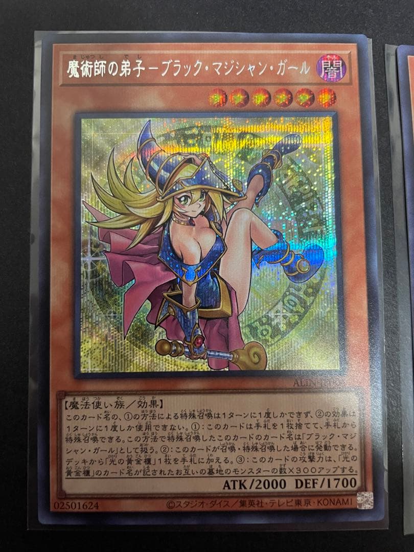 遊戯王　魔術師の弟子　光の黄金櫃　黒き魔術師　デッキパーツ　シークレット　シク