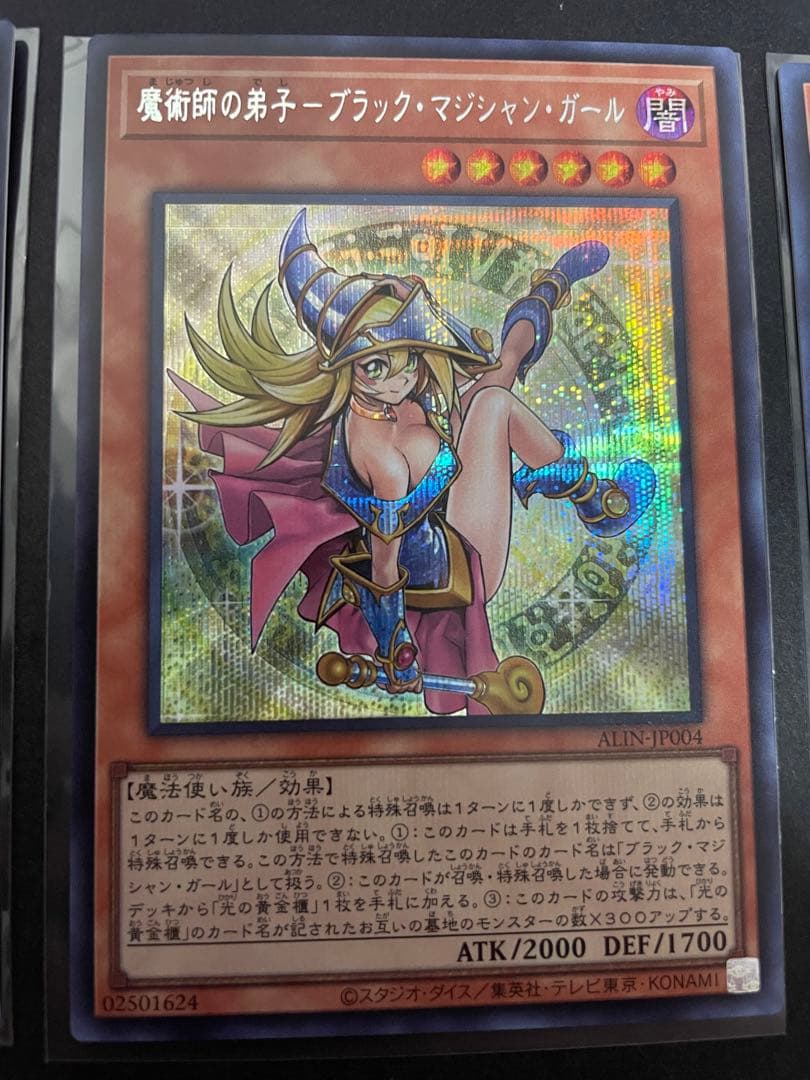 遊戯王　魔術師の弟子　光の黄金櫃　黒き魔術師　デッキパーツ　シークレット　シク