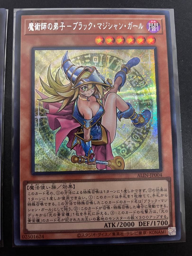 遊戯王　魔術師の弟子　光の黄金櫃　黒き魔術師　デッキパーツ　シークレット　シク