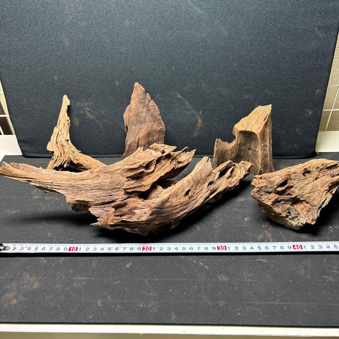 ADAホーンウッド計14個