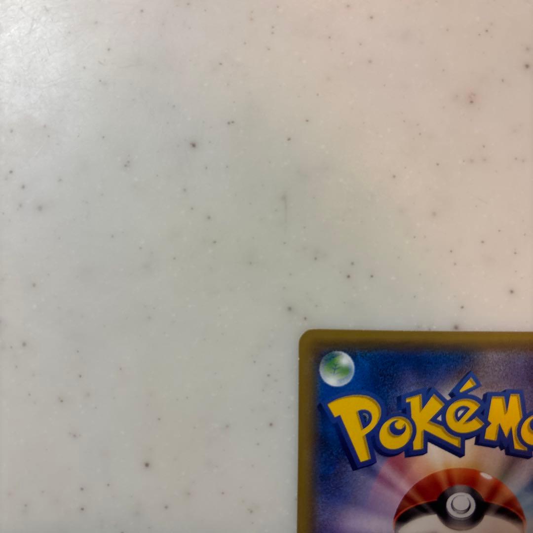 に*中様 ポンチョを着たピカチュウ　ロコン