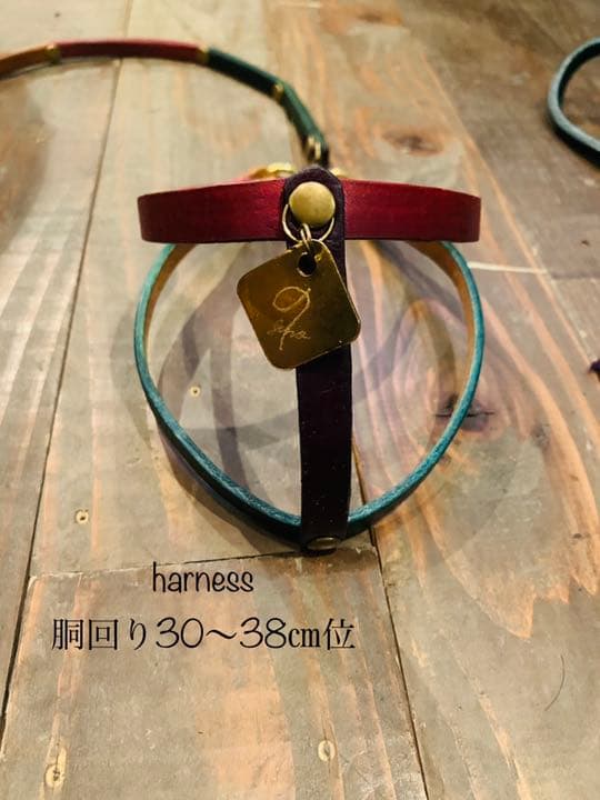 犬用【本革】multicolored リード＆ハーネス2点SET❣️