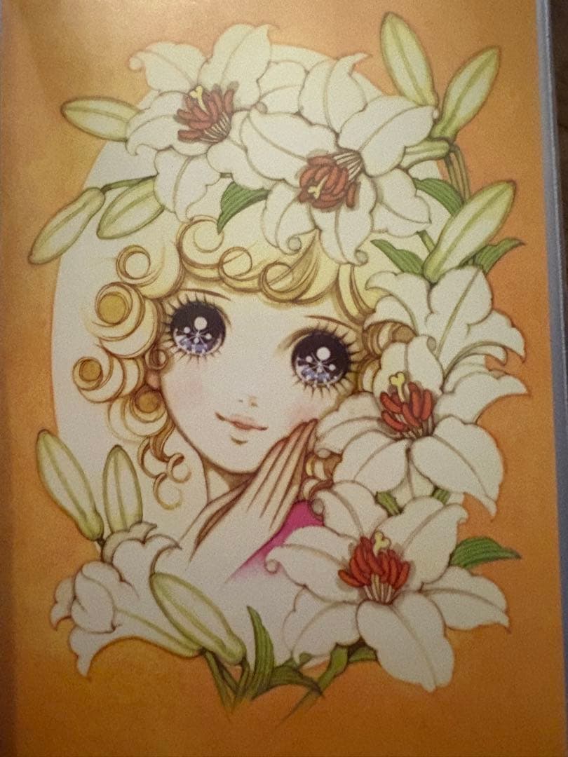 高橋真琴　ポストカードセット　60枚　ファイル付き