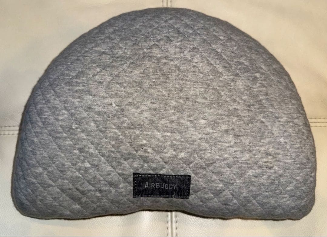 AIRBUGGY WIZ Xディムグレー ペットカート オールインですぐ使える