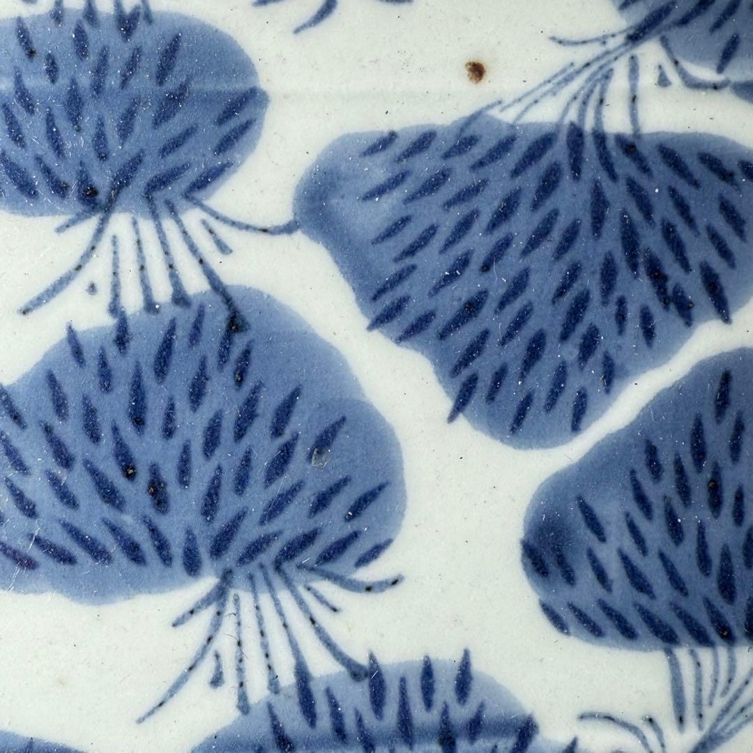 江戸中期　古伊万里　染付竹林文長皿　奇跡の十客！　笹葉部型紙摺　古美術　最高級器