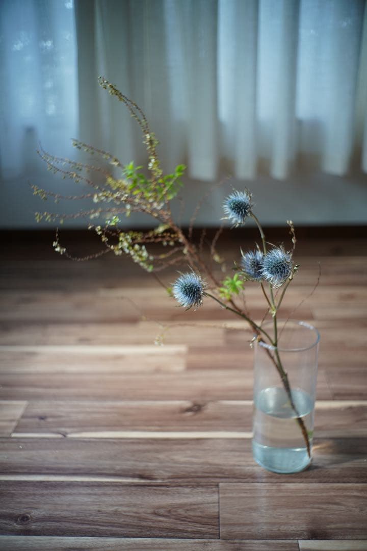 ライカ ズミクロン 35mm 7枚玉 OH済み Leica Summicron