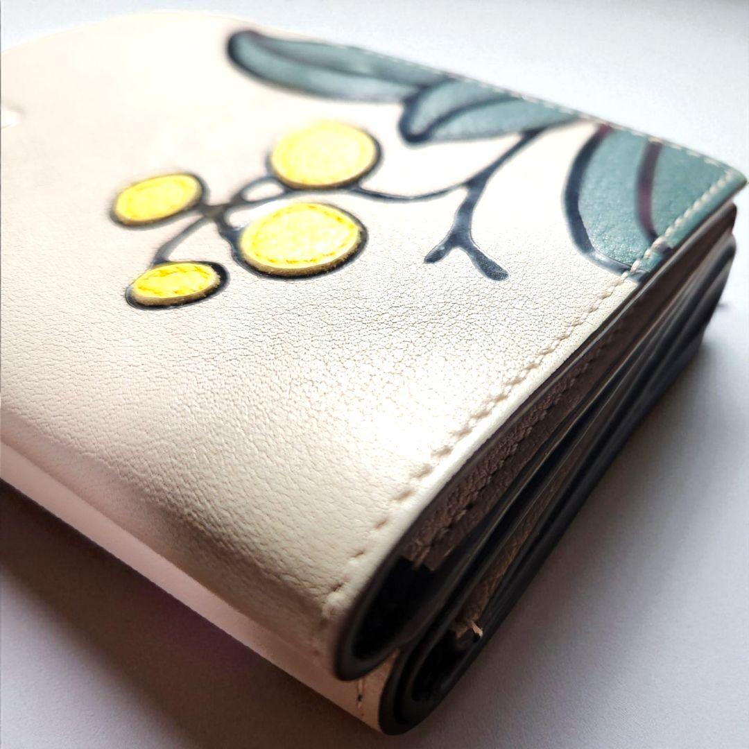 【TomokoN】LOEWE ロエベ 三つ折り財布 ハーバリウム 希少