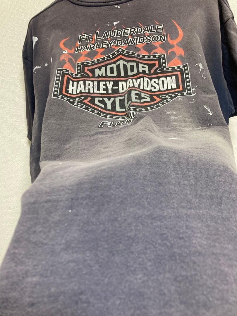 雰囲気◎2001 Harley-Davidson エンジン　フレイム　Tシャツ
