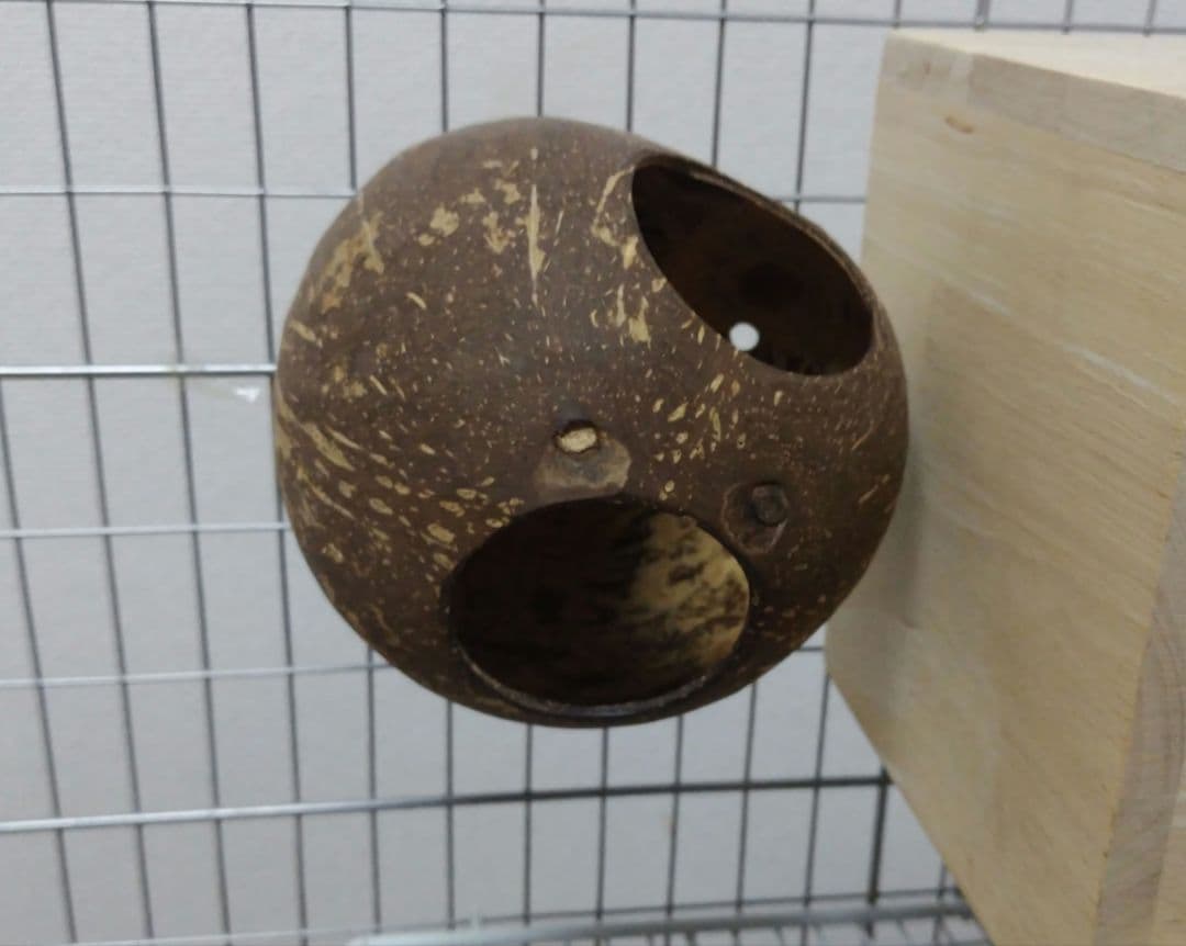 小動物飼育セット 【バラ売り可・ある程度の値下げ可】