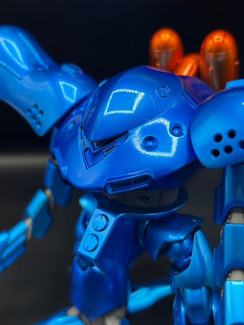 HG ハイゴッグ 全塗装完成品